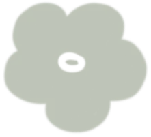 Dress code colour: Sage green